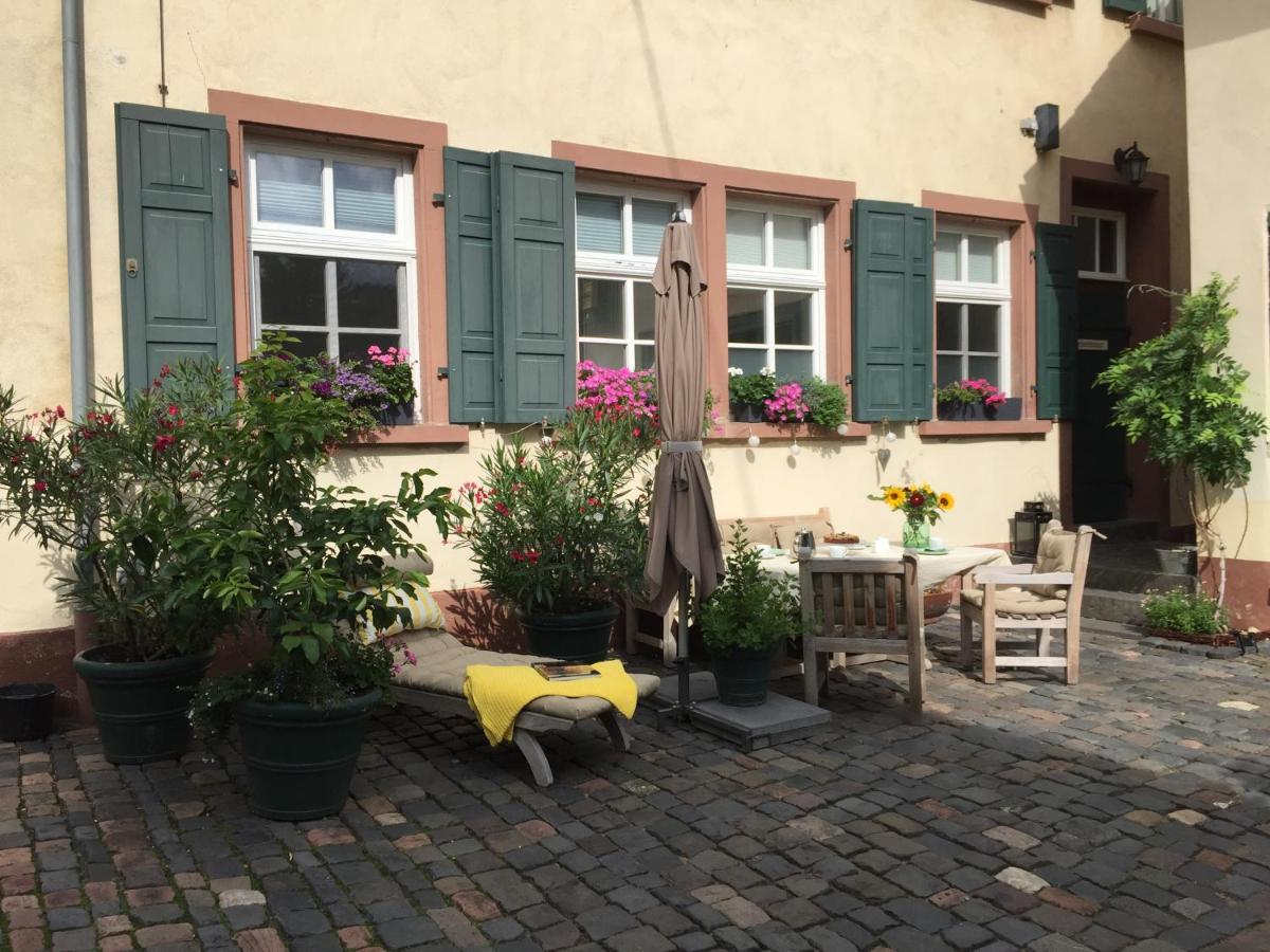 Апартаменты Alte Schule Wachenheim Im Zellertal Вахенхайм-ан-дер-Вайнштрасе Экстерьер фото