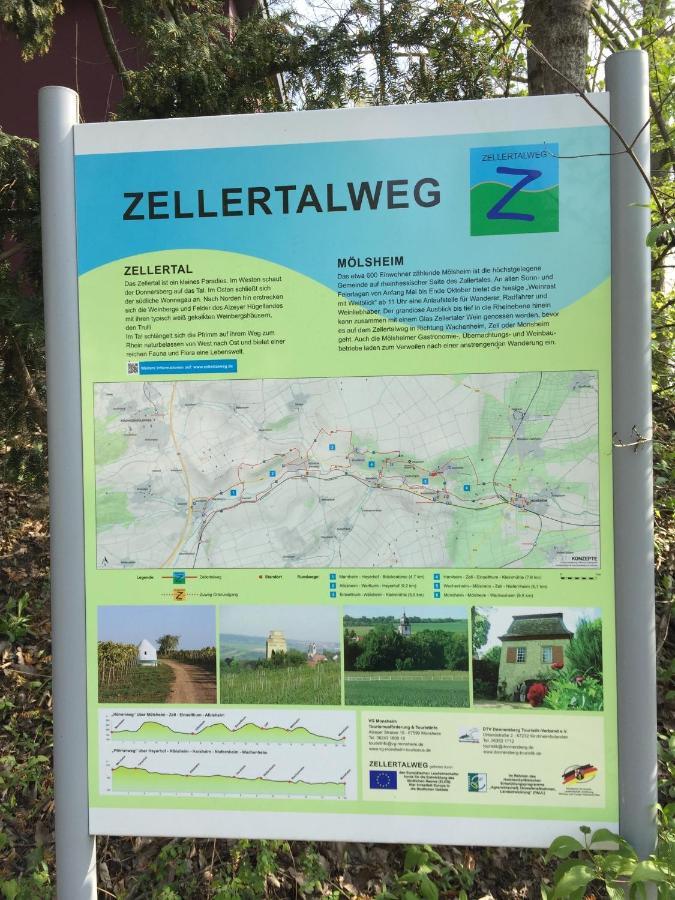 Апартаменты Alte Schule Wachenheim Im Zellertal Вахенхайм-ан-дер-Вайнштрасе Экстерьер фото